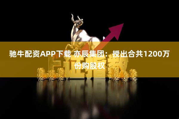 驰牛配资APP下载 亦辰集团：授出合共1200万份购股权
