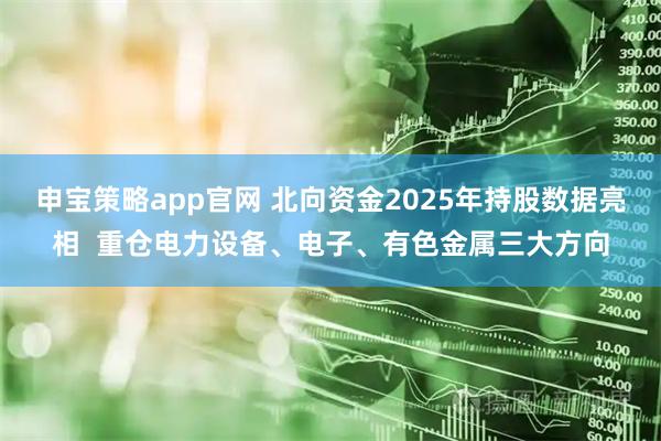 申宝策略app官网 北向资金2025年持股数据亮相  重仓电力设备、电子、有色金属三大方向