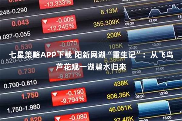 七星策略APP下载 阳新网湖“重生记”：从飞鸟芦花观一湖碧水归来