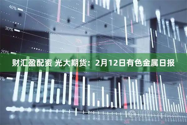 财汇盈配资 光大期货:2月12日有色金属日报