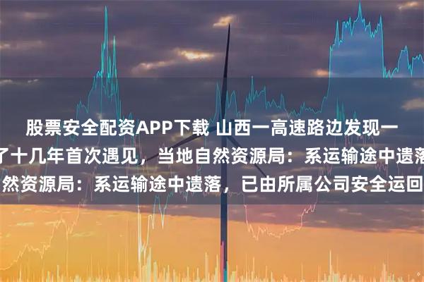 股票安全配资APP下载 山西一高速路边发现一只小狮子，有民警称干了十几年首次遇见，当地自然资源局：系运输途中遗落，已由所属公司安全运回