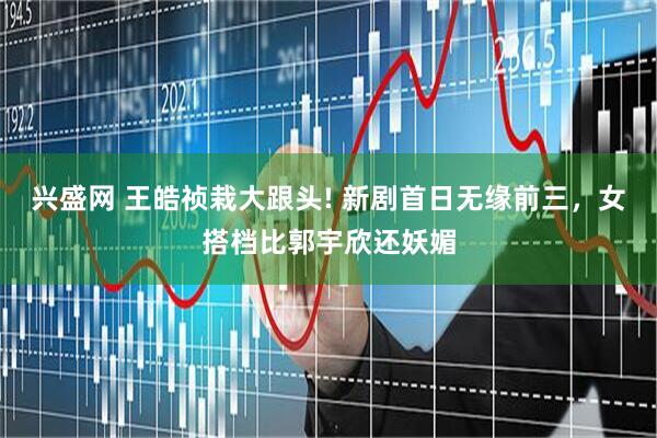 兴盛网 王皓祯栽大跟头! 新剧首日无缘前三，女搭档比郭宇欣还妖媚